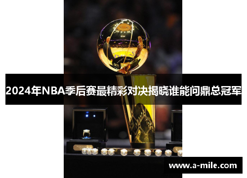 2024年NBA季后赛最精彩对决揭晓谁能问鼎总冠军